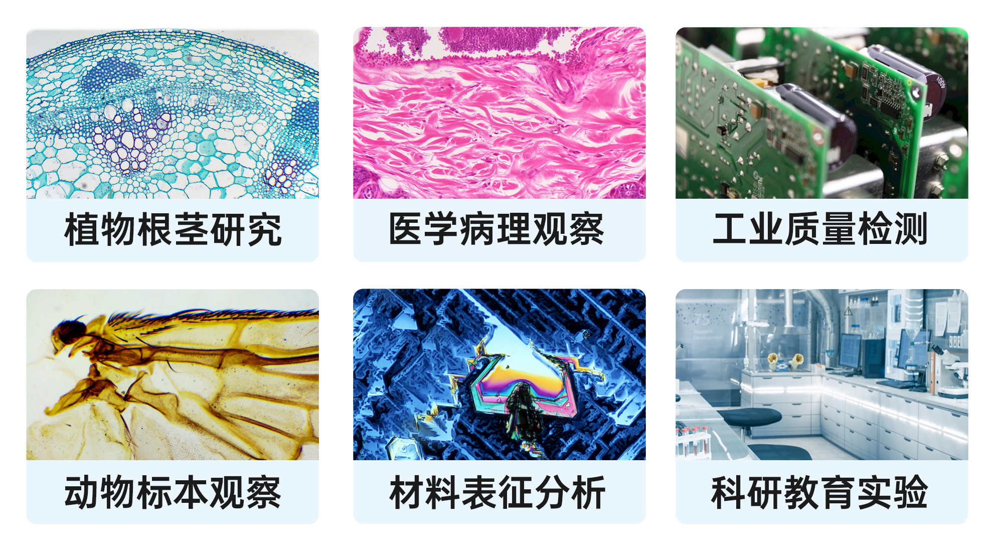 X5FCAM4K8MPA相机应用领域