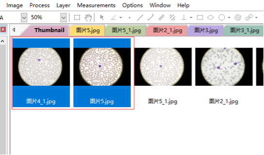 如何使用Microsoft 如何使用Microsoft