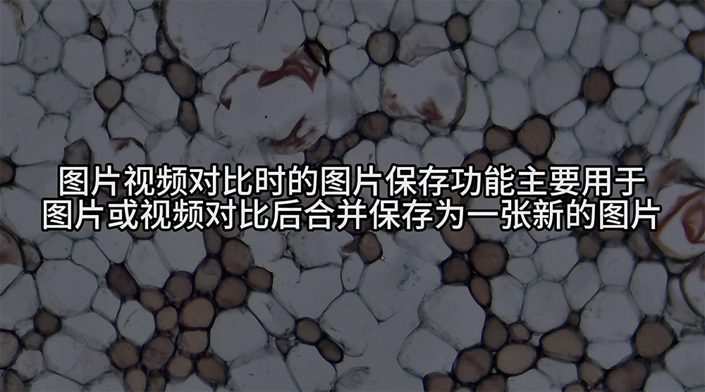 图片对比保存功能