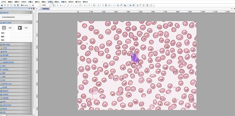 手动计数操作教学
