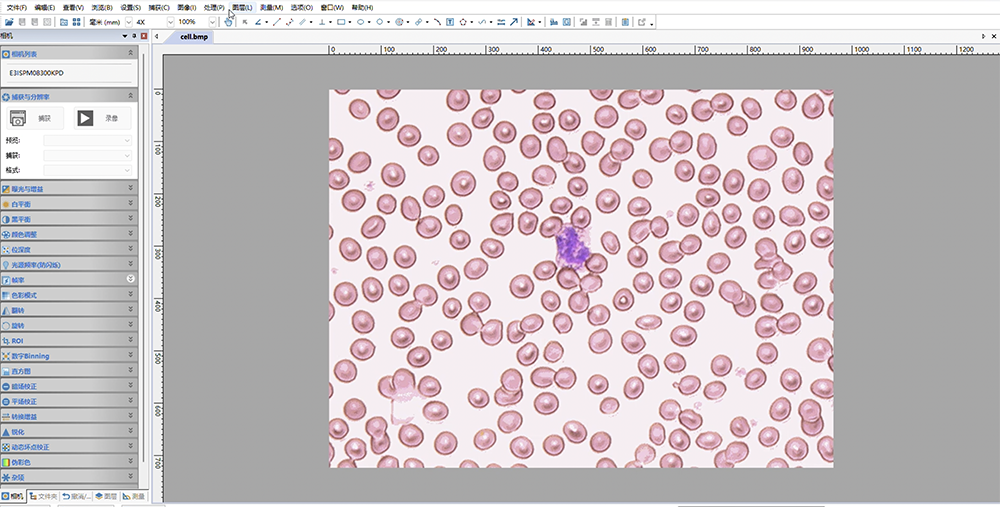 OSTU自动分割计数教学