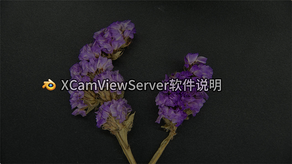 X8CAM网络存储功能