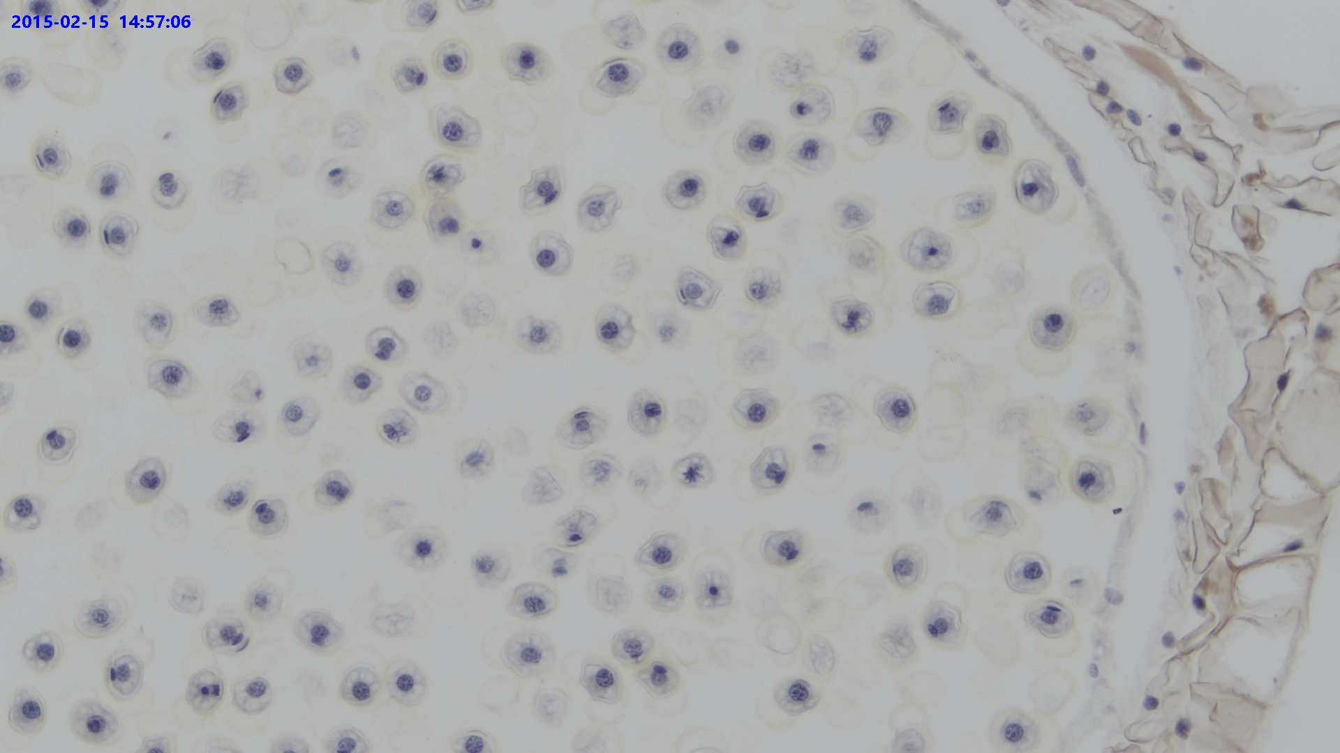 XFCAM1080PHB/PHD应用实例