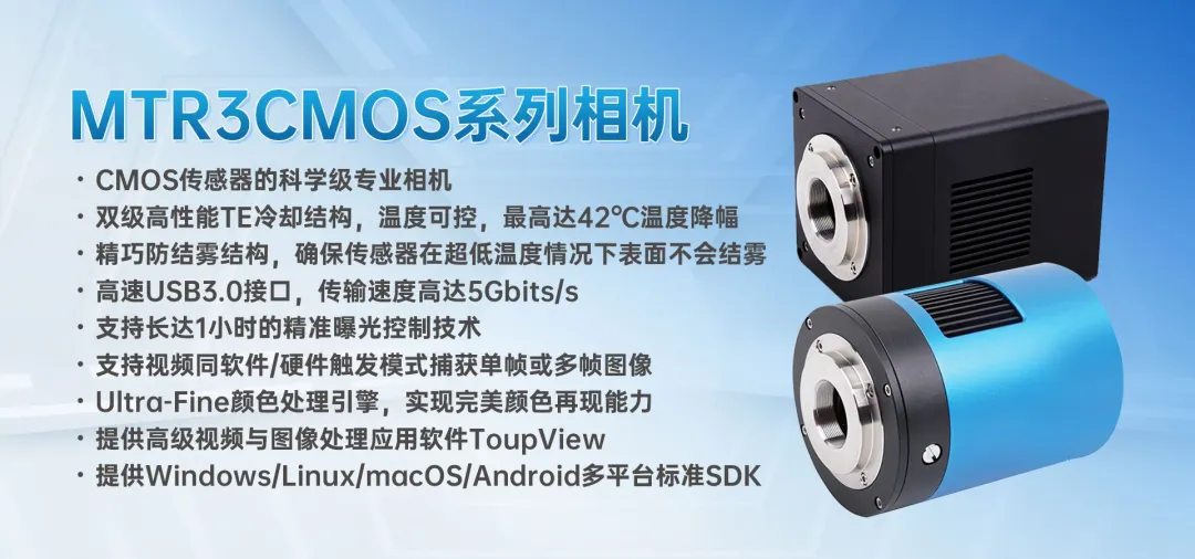 GLUX系列背照式CMOS相机